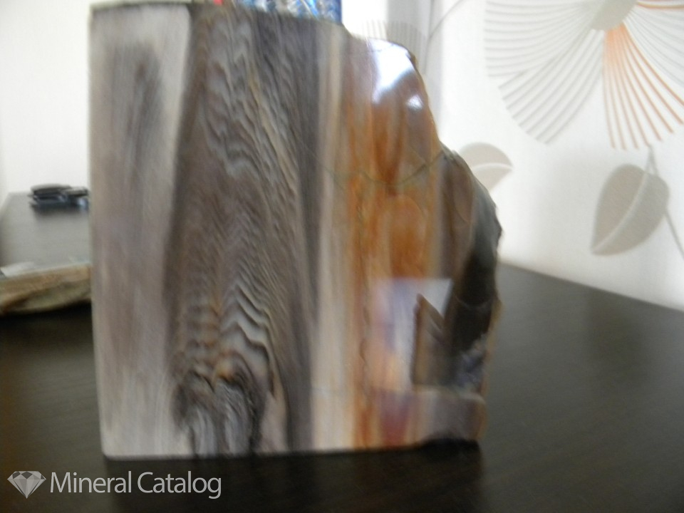Продам коллекционный камень окаменелое дерево: 1 200 ₴ • Объявления • Mineral Catalog