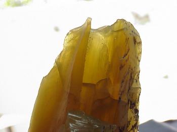 Окаменелое дерево  (органика + опал древесный) (Petrified Wood)