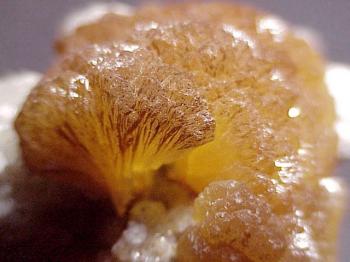 Стеатит или  Мыльный камень  (разн. талька) (Steatite, Soapstone)