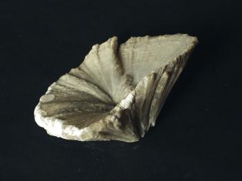 Улексит или Телевизионный камнень (Ulexite, Television Stone)