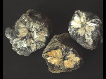 Хиастолит  (разн. андалузита) (Chiastolite)