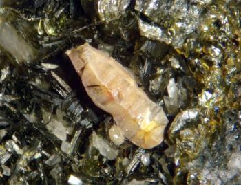 Паризит (Parisite)