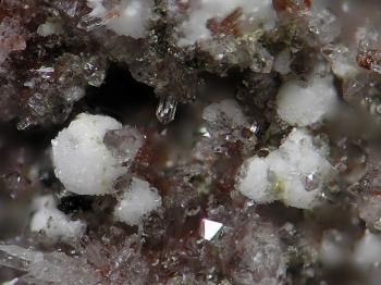 Прозопит (Prosopite)