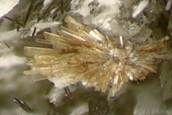 Рамзаит - синоним Лоренцита (Lorenzenite)