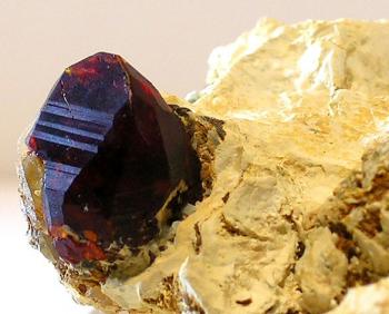 Хондродит (Chondrodite)