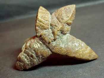 Глендонит или Беломорская рогулька  (кальцит) (Glendonite)