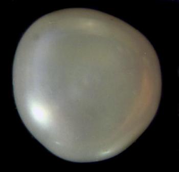 Жемчуг  (органика) (Pearl Natural)