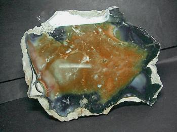Кремень  (агрегат, преимущ.  халцедон, опал) (Patterned Flint)